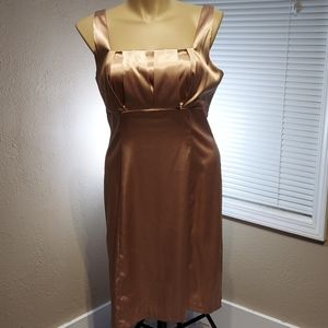 Rose Gold Dress